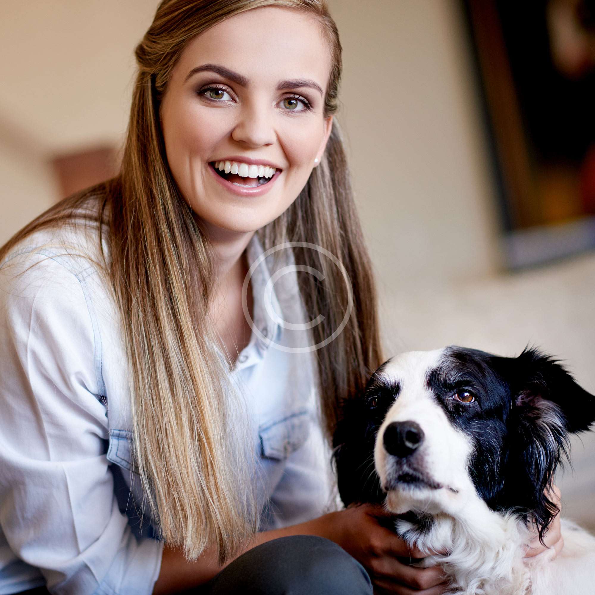 Pet Sitting Halo House Animal Resort