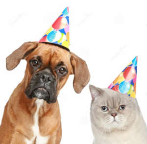 South Jersey Doggie Birthday Parties