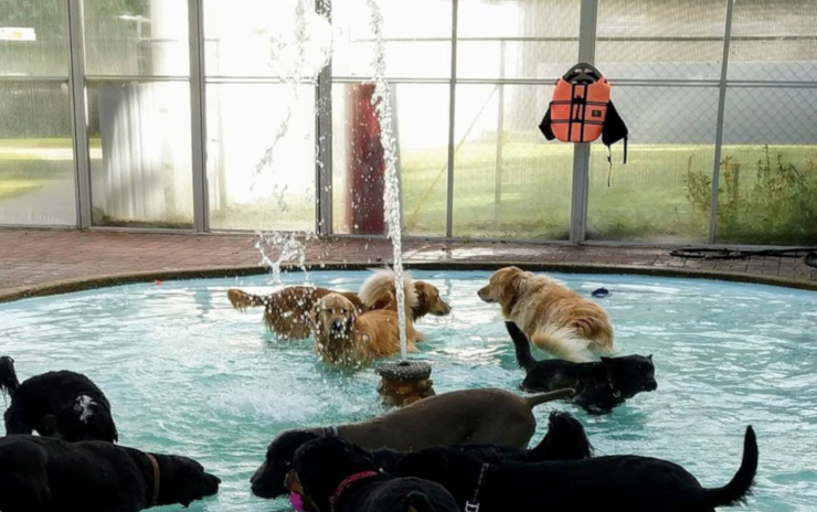 Splish Splash, It’s a Summer Bash: Keeping Cool at Halo House!
