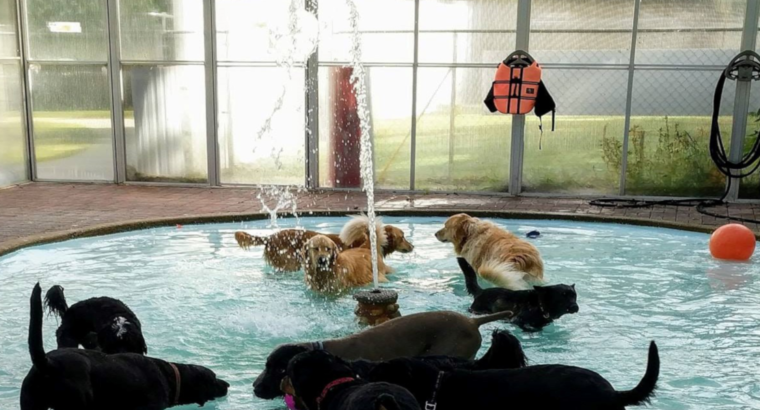 Splish Splash, It’s a Summer Bash: Keeping Cool at Halo House!