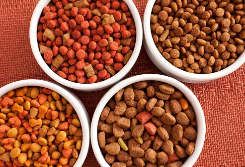The Different Types of Dog Food & Their Benefits