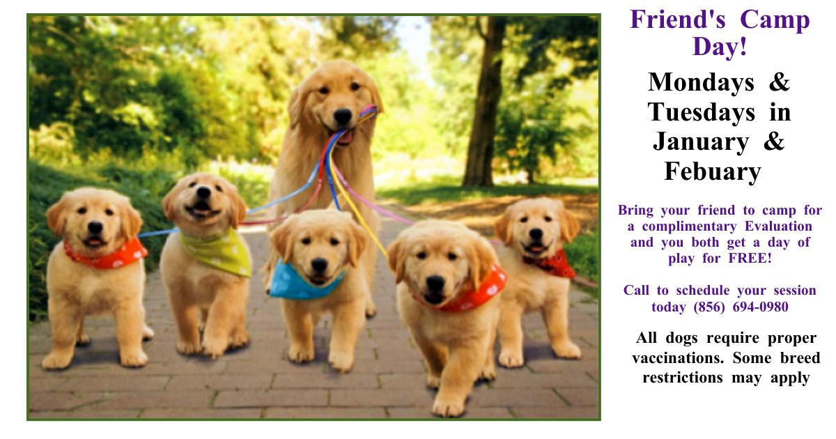 Friends Day Camp