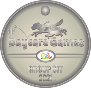 silver Medal