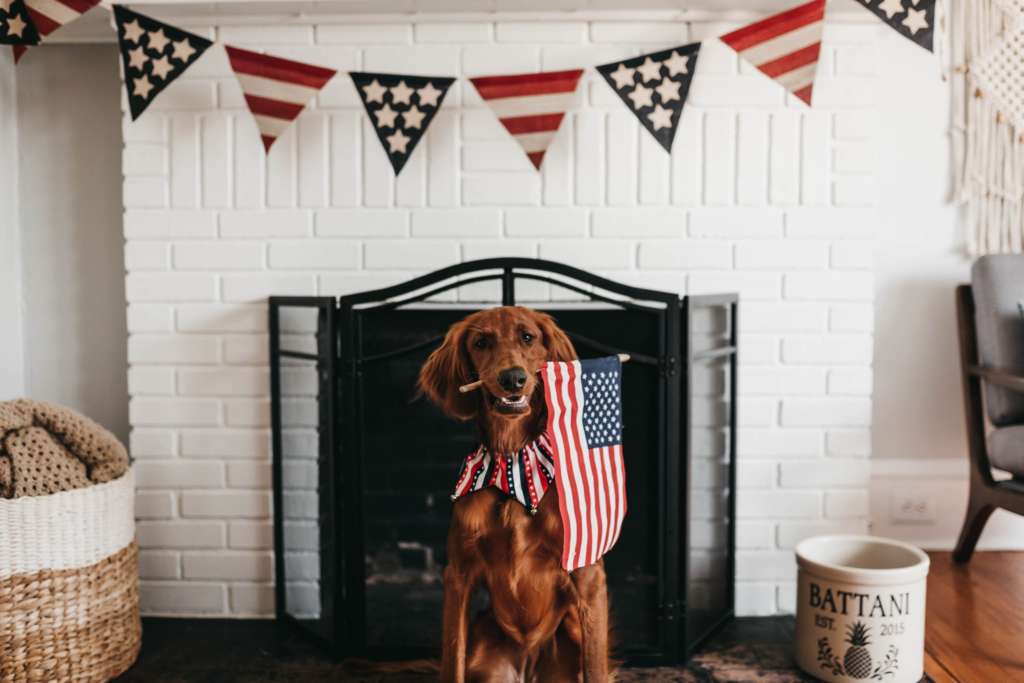 How To Keep Your Dog Calm During July 4th Blog