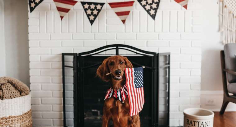 How To Keep Your Dog Calm During July 4th