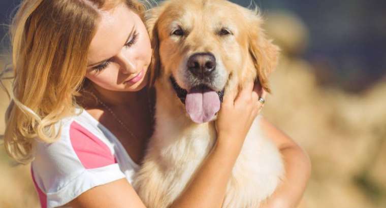 Is your dog a good candidate for therapy work?