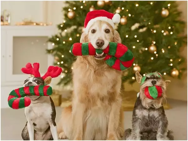 Holiday Pet Safety