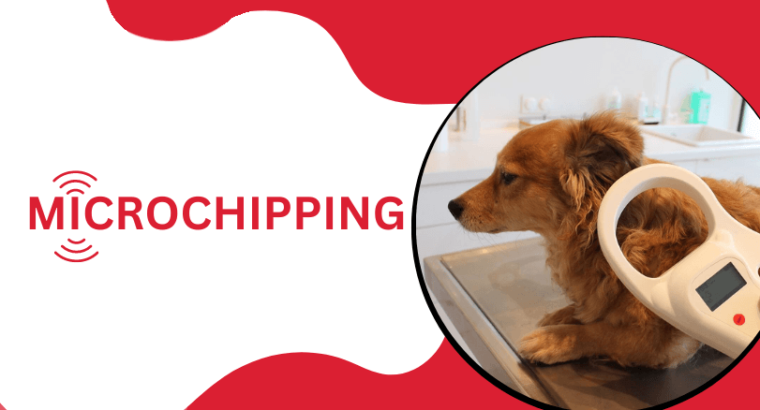 Micro-Chip Your Pet in May