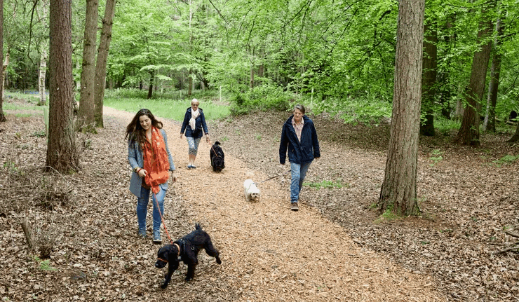 Celebrate National Pet Month with Halo House Animal Resort