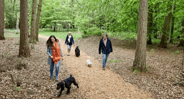 Celebrate National Pet Month with Halo House Animal Resort