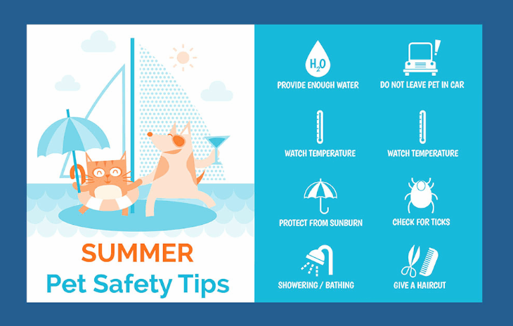 Summer Safety Checklist for Pet Owners: Keep Your Pet Happy and Healthy All Season Long