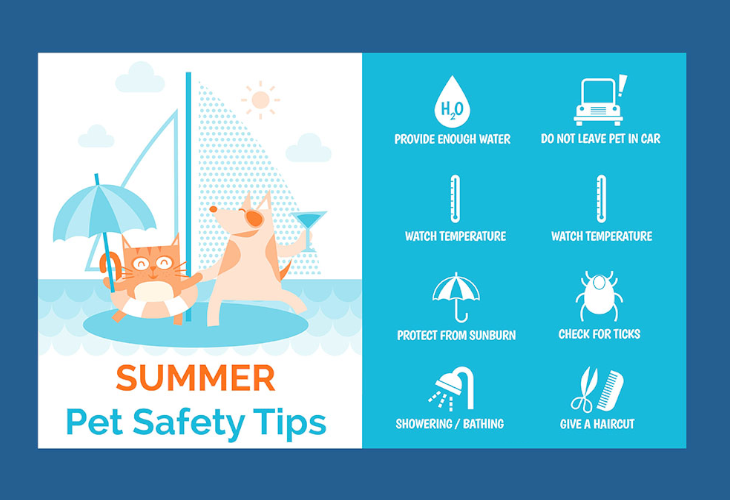 Pet Summer Safety