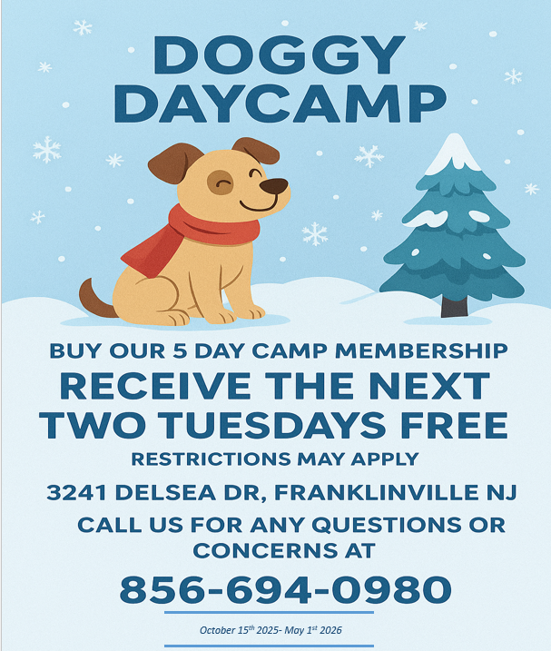 Winter Doggie Day Camp South Jersey