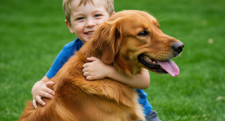 Celebrate National Pet Month with Halo House Animal Resort