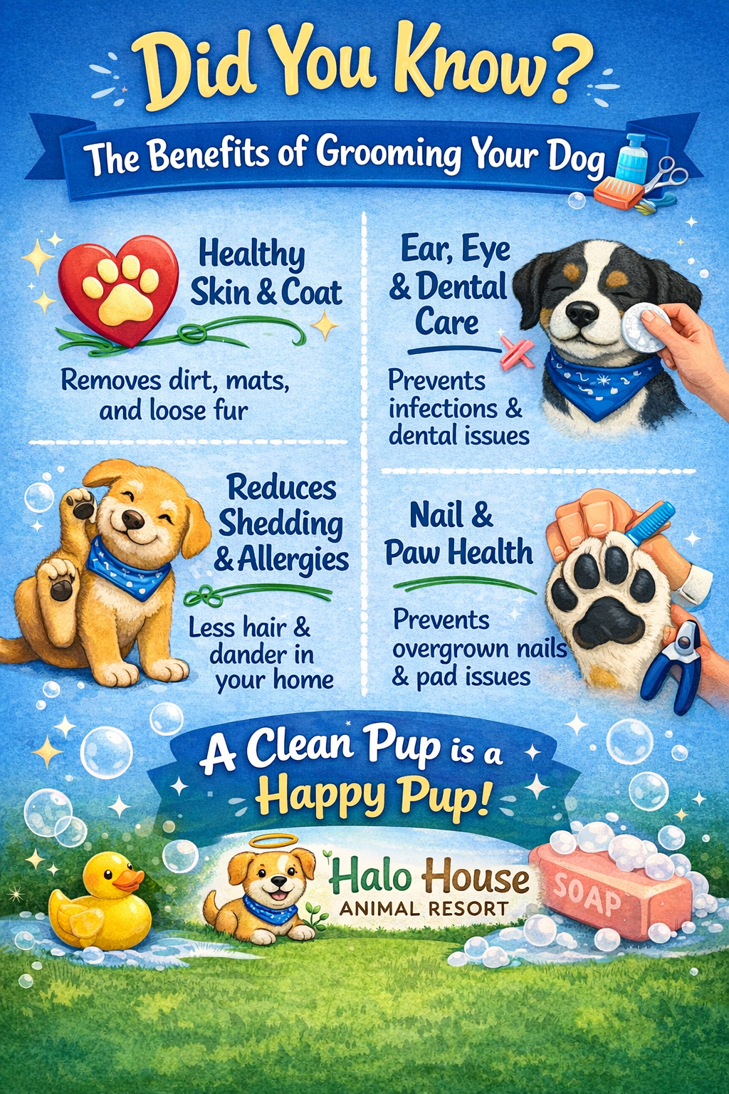did you know gooming edition Happy Pup